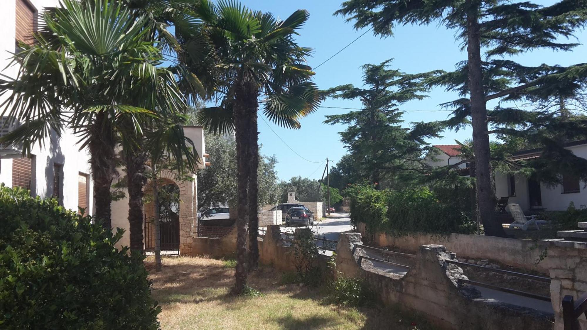 Apartment Zlata Vrcevan Medulin Zewnętrze zdjęcie
